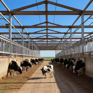 steel structure cow chicken house